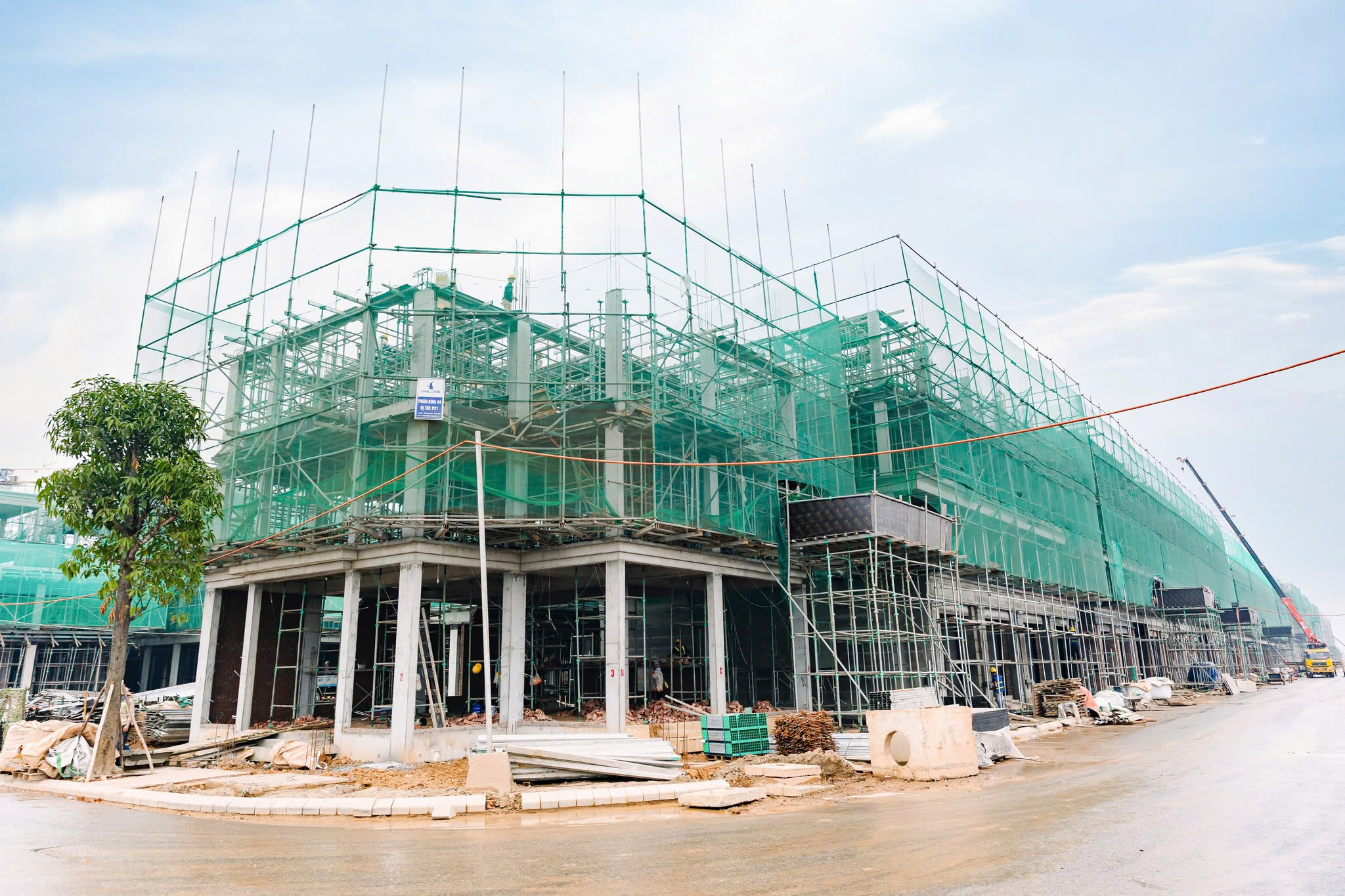 z6420596329703_783b2b61407688475edd5a0d21822414