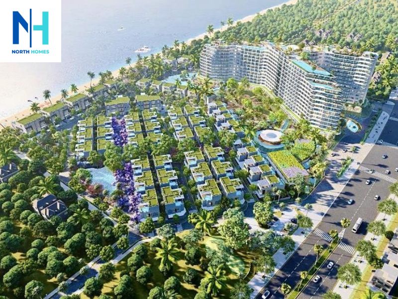 Phân loại theo mục đích sử dụng