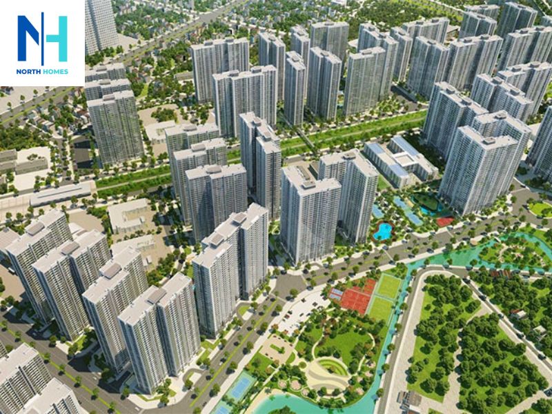 Phân loại theo quy mô