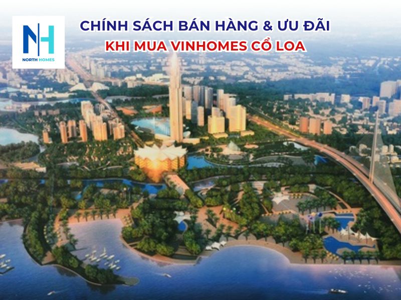 Chính sách bán hàng và ưu đãi 