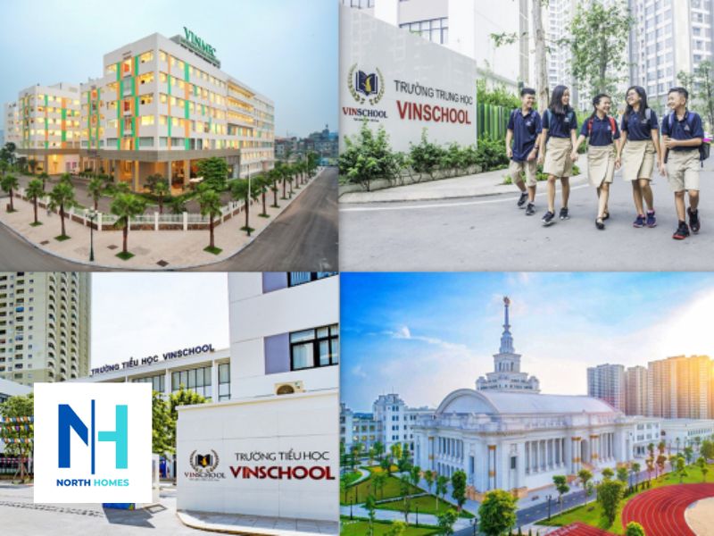 Dịch vụ y tế, giáo dục cao cấp