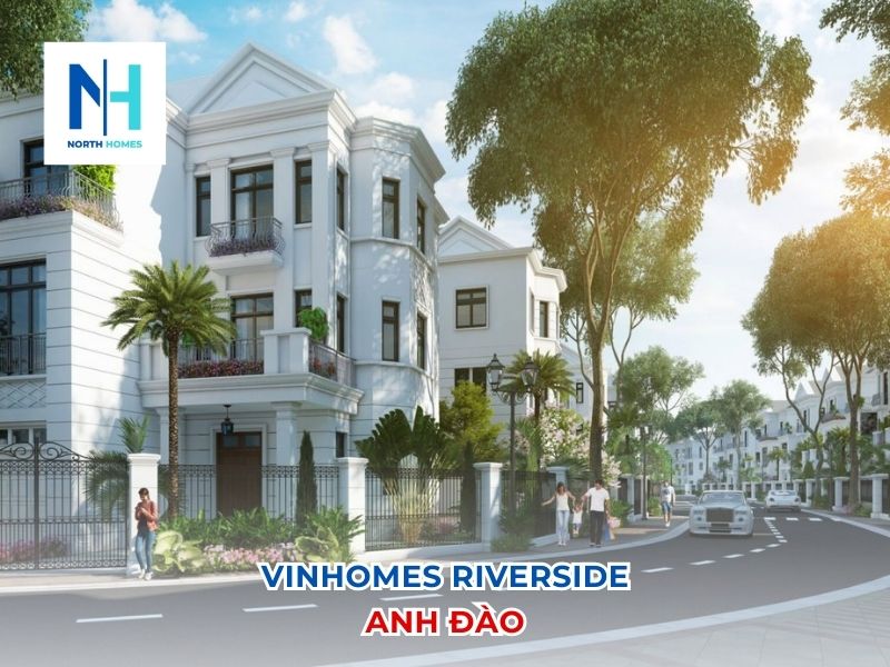 Giá bán biệt thự Vinhomes Riverside Anh Đào