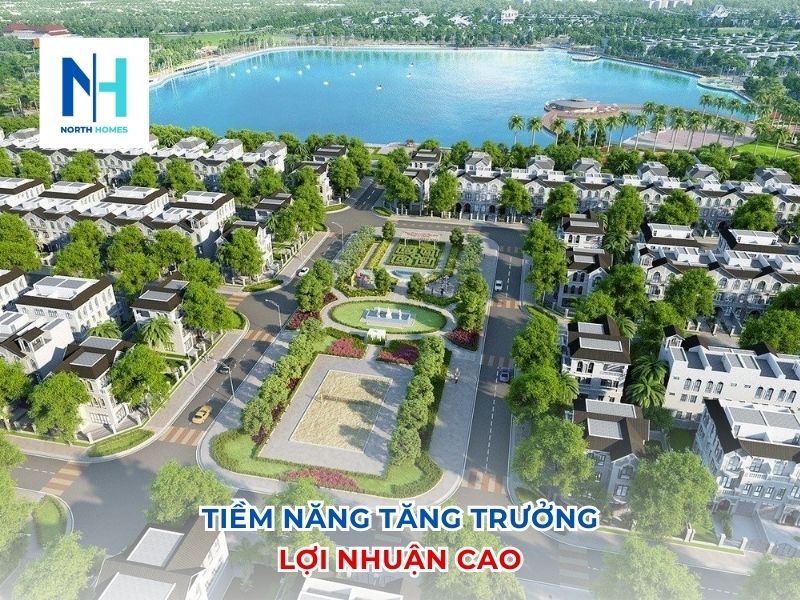 Tiềm năng tăng trưởng lợi nhuận cao