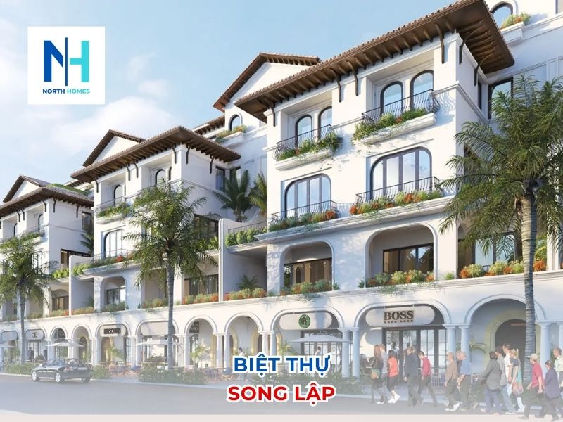 Biệt thự song lập