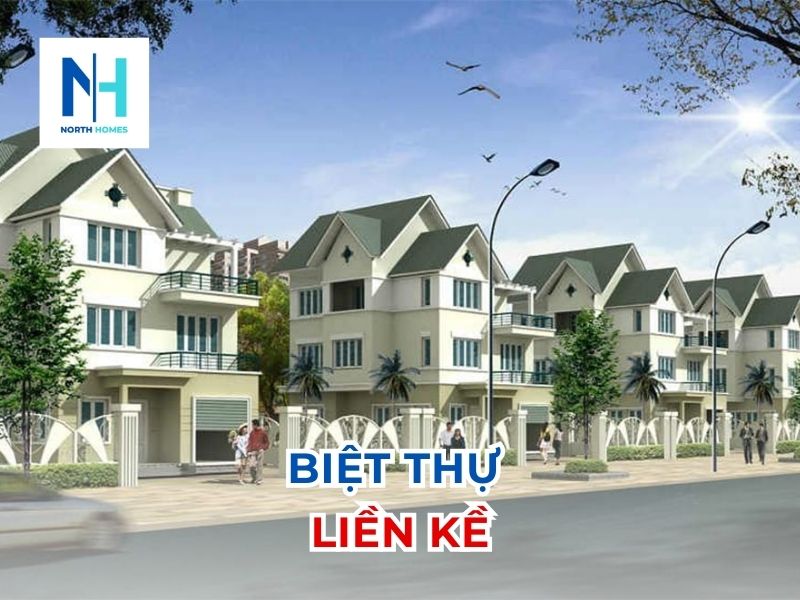 Biệt thự liền kề