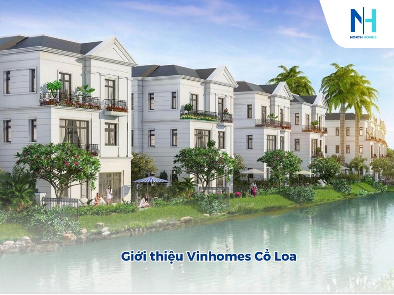 Chủ Đầu Tư Vinhomes Cổ Loa