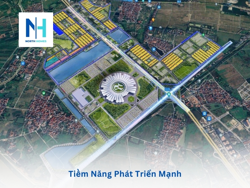 Tiềm Năng Phát Triển Mạnh